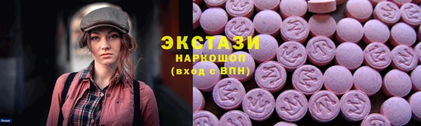индика Козловка