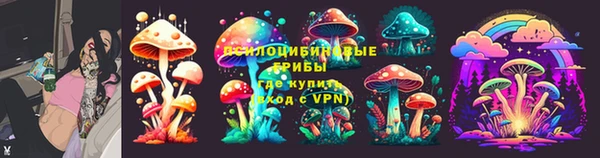 молекула духа Кинешма