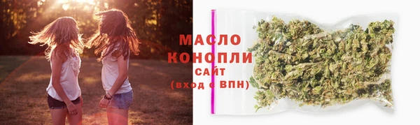 индика Козловка