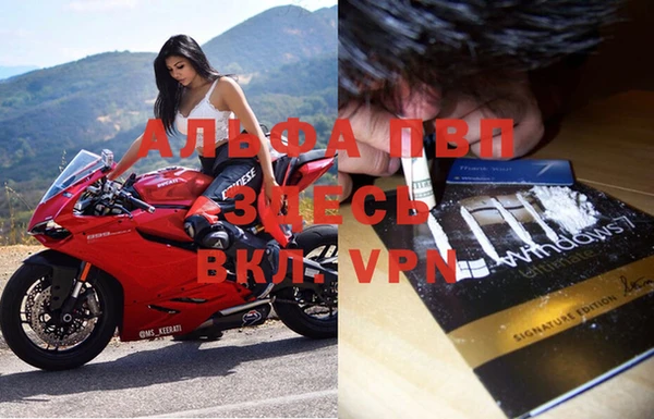 молекула духа Кинешма