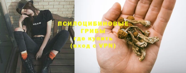 индика Козловка