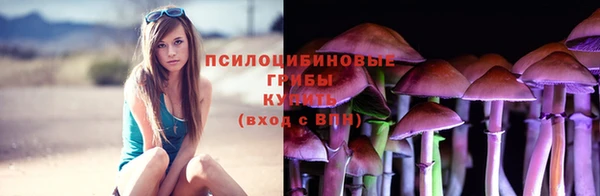 молекула духа Кинешма