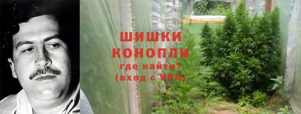 молекула духа Кинешма
